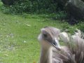 IMGP0837.JPG